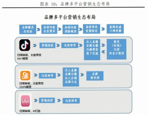 粉丝生态如何在上世纪90年代形成？