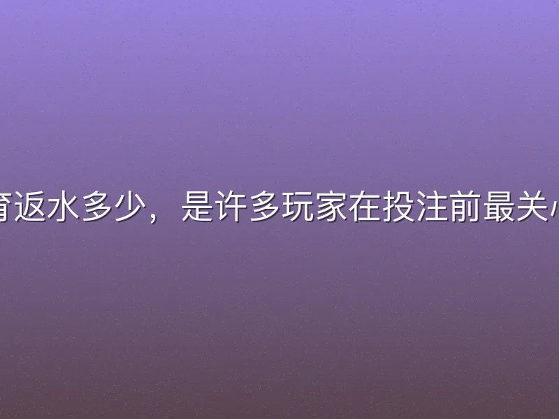 熊猫体育返水多少，是许多玩家在投注前最关心的问题